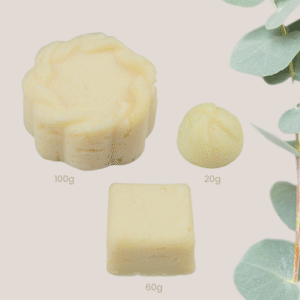 Shampoing Solide Shampooing solide