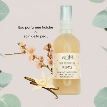 pluie de merveille1 Plumsy